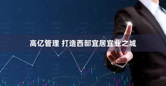 高亿管理 打造西部宜居宜业之城