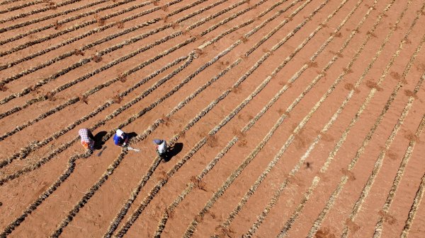 思考资本 哈萨克斯坦携手中国企业共治荒漠化